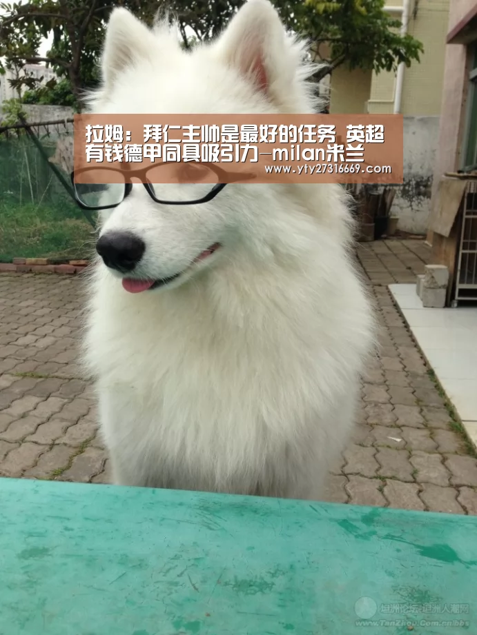 拉姆:拜仁主帅是最好的任务 英超有钱德甲同具吸引力-milan米兰(图2) 米兰·(milan)中国官网