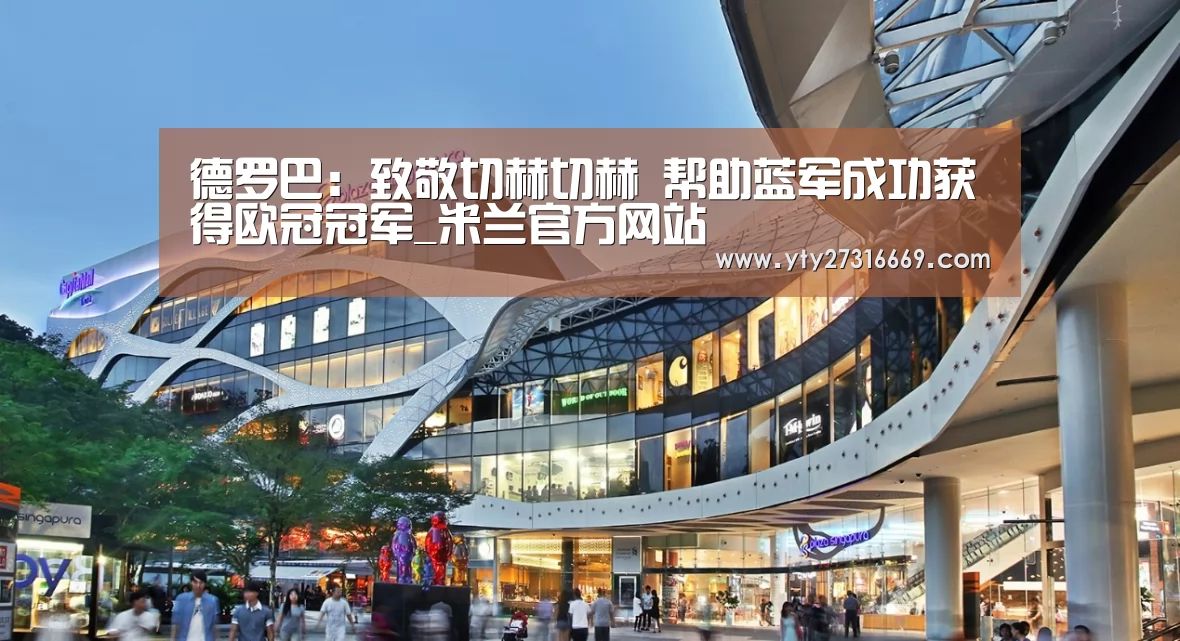 德罗巴:致敬切赫切赫 帮助蓝军成功获得欧冠冠军_米兰官方网站(图1) 米兰官方网站