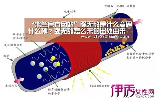 “米兰官方网站”强无敌是什么意思什么梗?强无敌怎么来的出处由来介绍(图3) 米兰官方网站